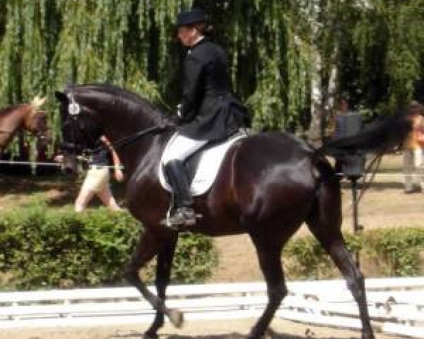 horse La Toya 30 (Trakehner, 1995, from Römer)
