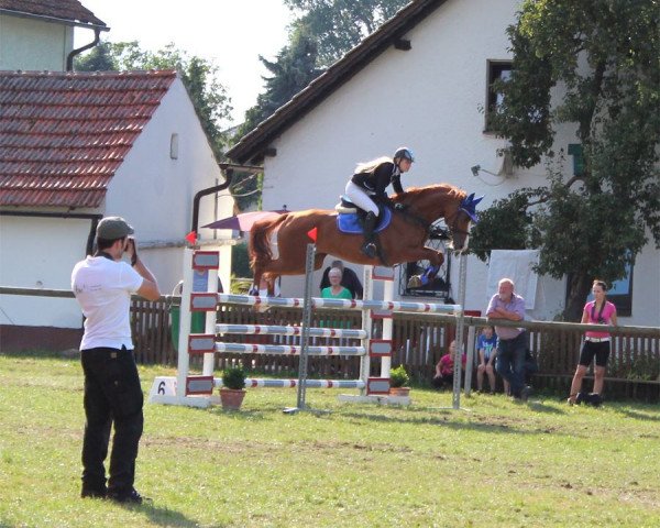 broodmare Angel PS (Bavarian, 2004, from Cosino B)
