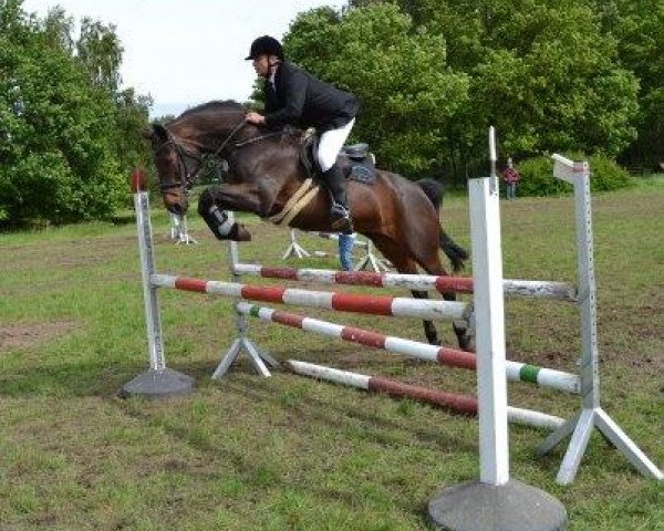 broodmare Ronja Ramirez (Hanoverian, 2003, from Rebel Z III)