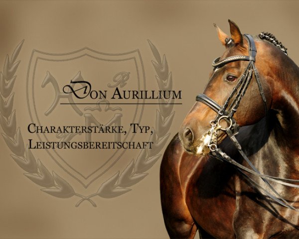 stallion Don Aurillium (Mecklenburg, 2000, from D'Olympic) stallion Don Aurillium (Mecklenburg, 2000, from D'Olympic)