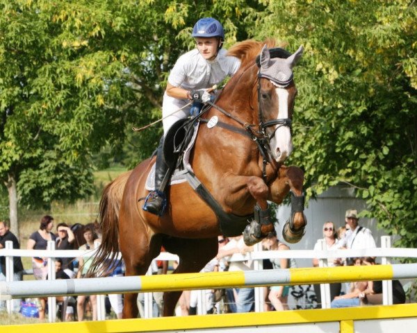 broodmare Melisse des Thermes (Selle Français, 2000, from Elan de la Cour)