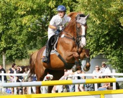 broodmare Melisse des Thermes (Selle Français, 2000, from Elan de la Cour)