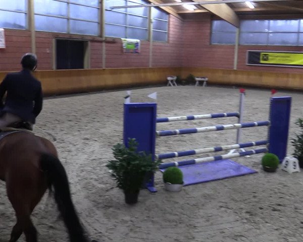 Schloss Wickrath Jumping 2022