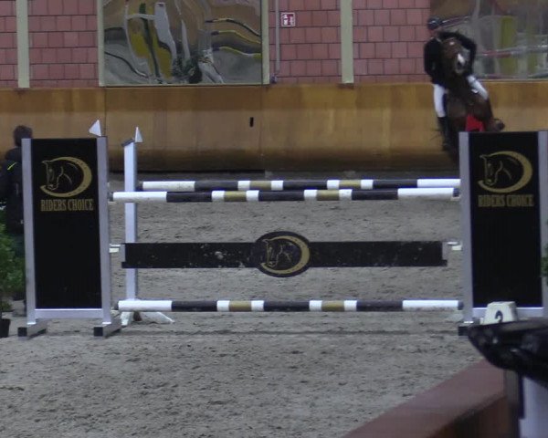 Schloss Wickrath Jumping 2022