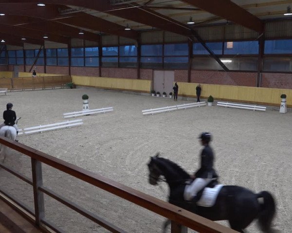 Reitturnier Hamburg-Friedrichshulde/Sylva Kuhrt 2022