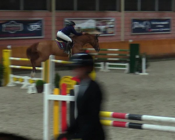 Schloss Wickrath Jumping 2022