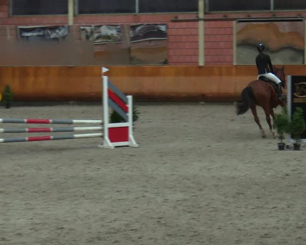 Schloss Wickrath Jumping 2022