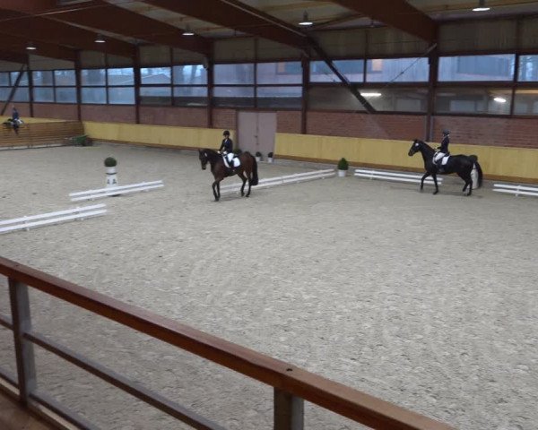 Reitturnier Hamburg-Friedrichshulde/Sylva Kuhrt 2022