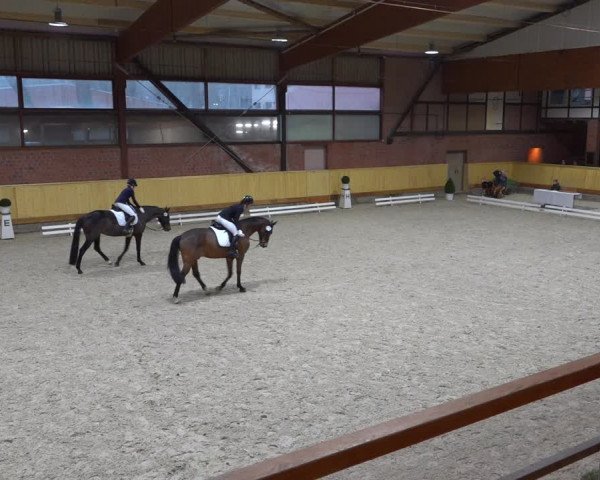 Reitturnier Hamburg-Friedrichshulde/Sylva Kuhrt 2022