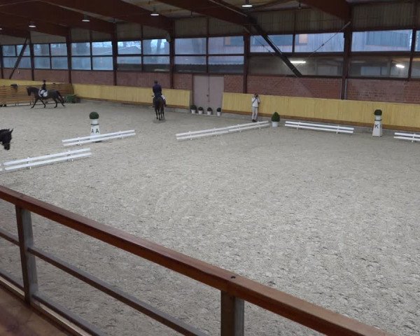 Reitturnier Hamburg-Friedrichshulde/Sylva Kuhrt 2022