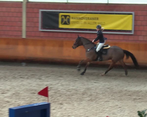 Schloss Wickrath Jumping 2022