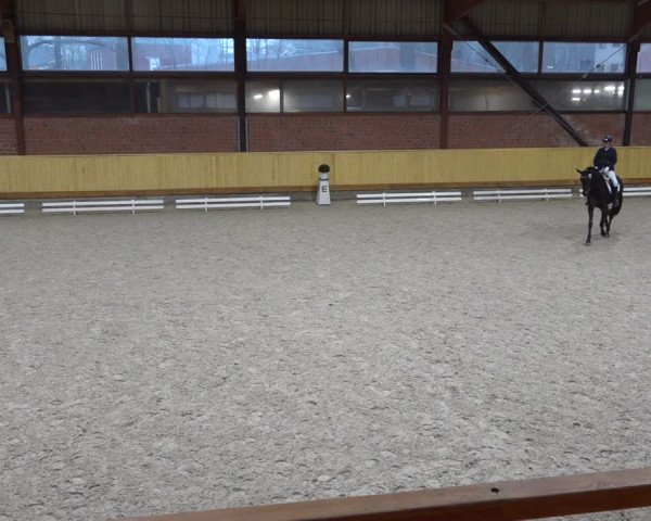 Reitturnier Hamburg-Friedrichshulde/Sylva Kuhrt 2022