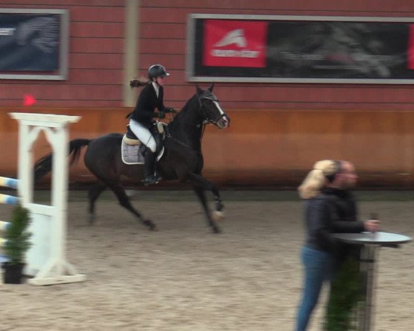 Schloss Wickrath Jumping 2022