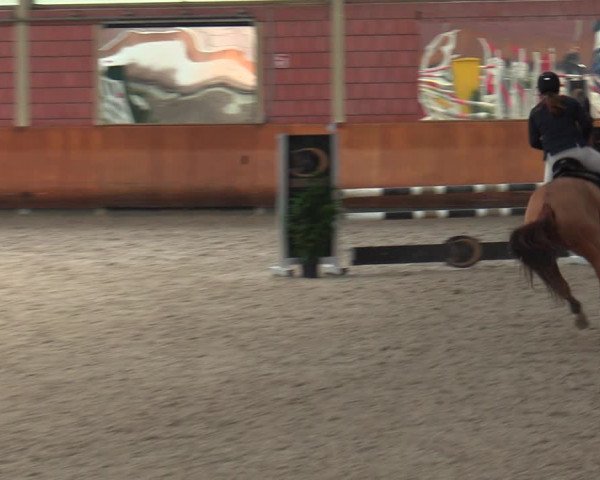 Schloss Wickrath Jumping 2022