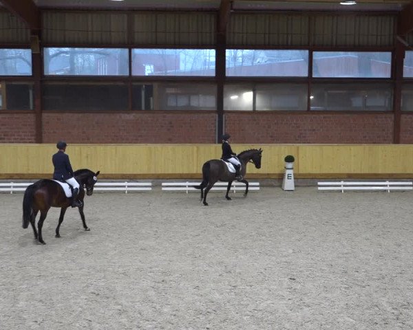 Reitturnier Hamburg-Friedrichshulde/Sylva Kuhrt 2022