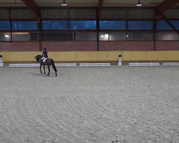 Reitturnier Hamburg-Friedrichshulde/Sylva Kuhrt 2022
