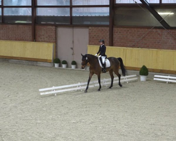 Reitturnier Hamburg-Friedrichshulde/Sylva Kuhrt 2022