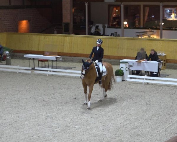 Reitturnier Hamburg-Friedrichshulde/Sylva Kuhrt 2022