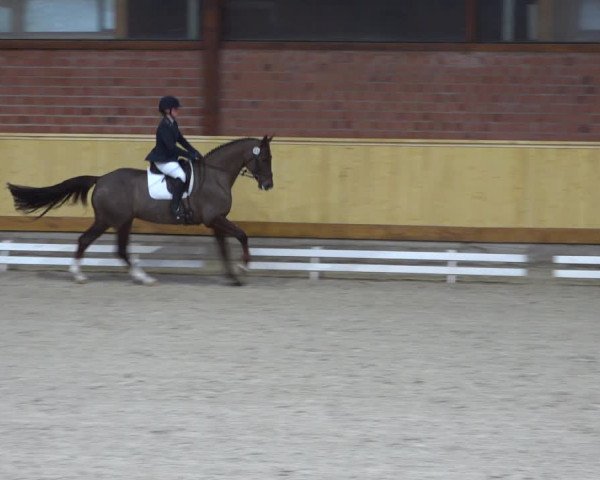 Reitturnier Hamburg-Friedrichshulde/Sylva Kuhrt 2022