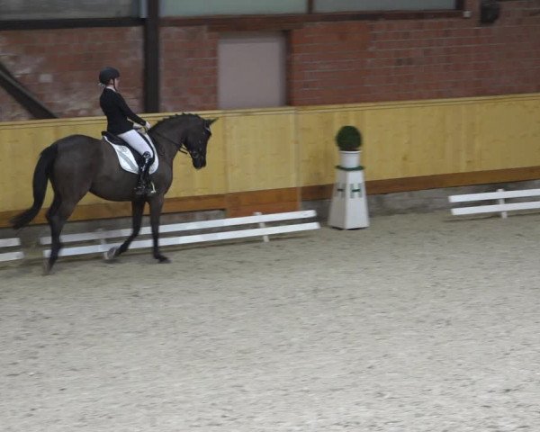 Reitturnier Hamburg-Friedrichshulde/Sylva Kuhrt 2022