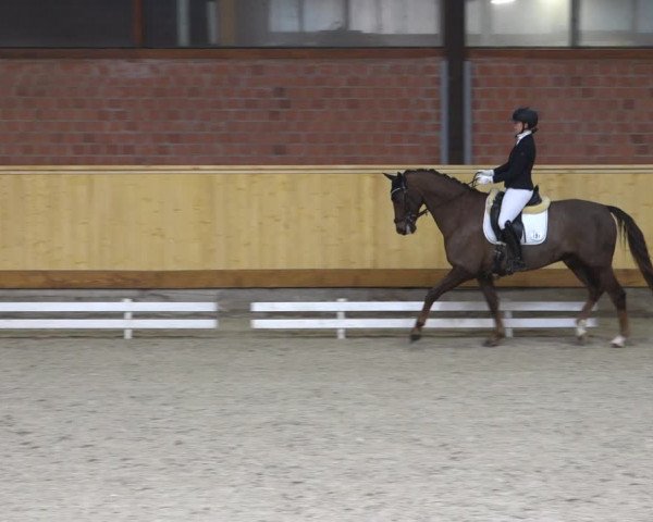 Reitturnier Hamburg-Friedrichshulde/Sylva Kuhrt 2022