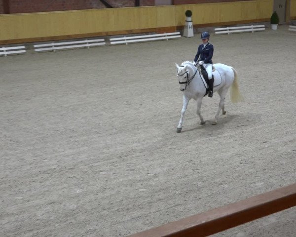 Reitturnier Hamburg-Friedrichshulde/Sylva Kuhrt 2022