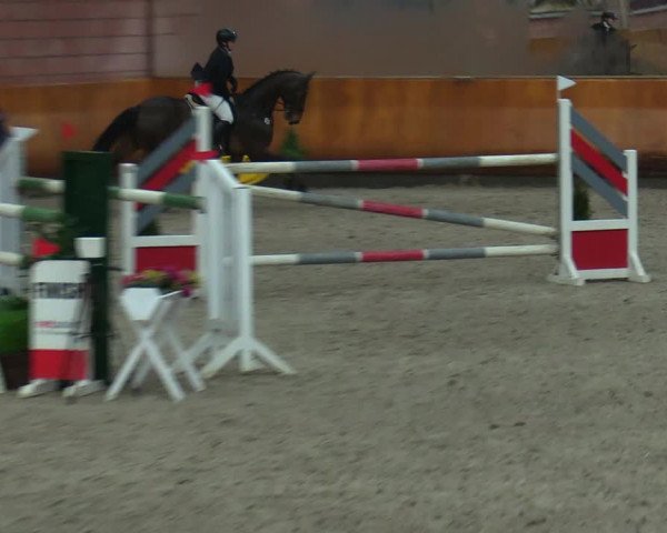 Schloss Wickrath Jumping 2022