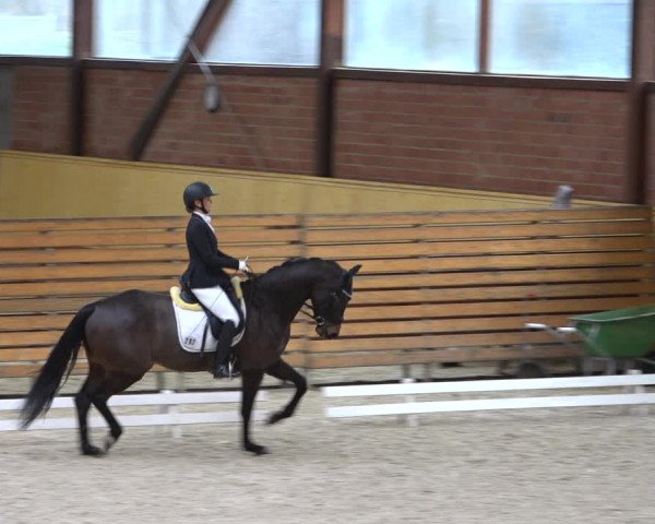 Reitturnier Hamburg-Friedrichshulde/Sylva Kuhrt 2022