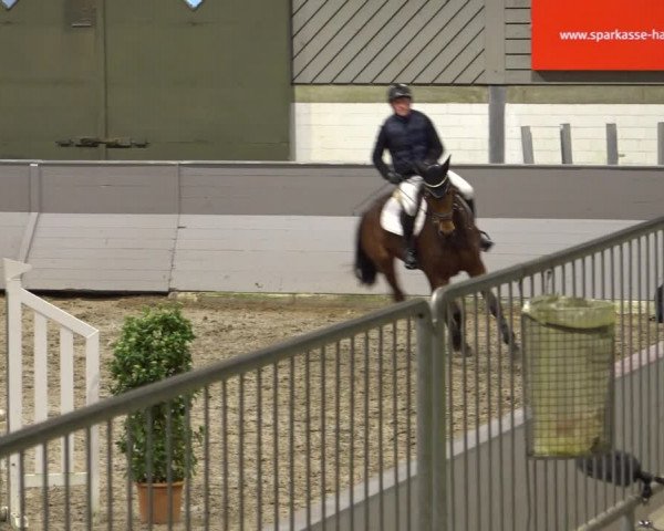 Late Entry Springturnier Luhmühlen 2022