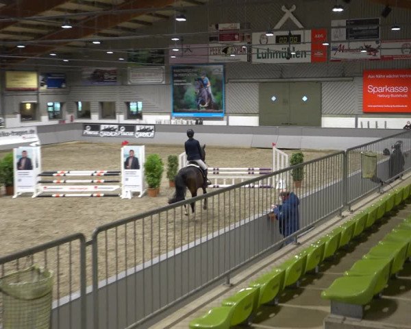 Late Entry Springturnier Luhmühlen 2022