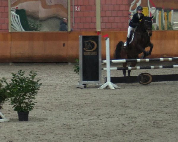 Schloss Wickrath Jumping 2022