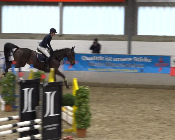 Late Entry Springturnier Luhmühlen 2022