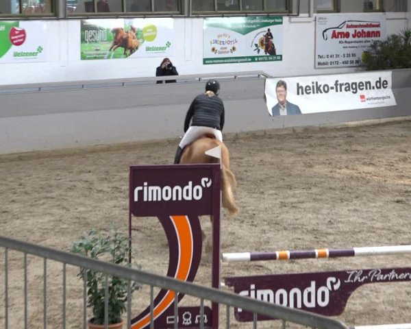 Late Entry Springturnier Luhmühlen 2022