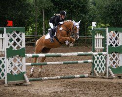 jumper Starlight 190 (German Riding Pony, 1997)