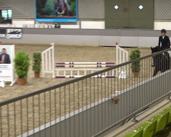 Late Entry Springturnier Luhmühlen 2022