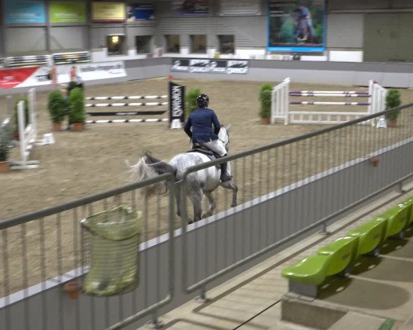 Late Entry Springturnier Luhmühlen 2022