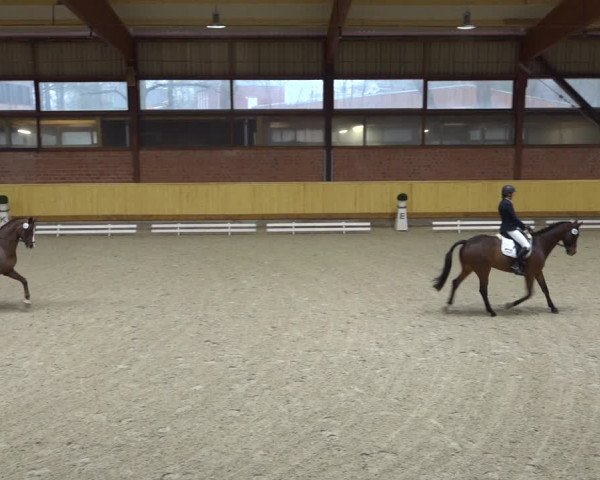 Reitturnier Hamburg-Friedrichshulde/Sylva Kuhrt 2022