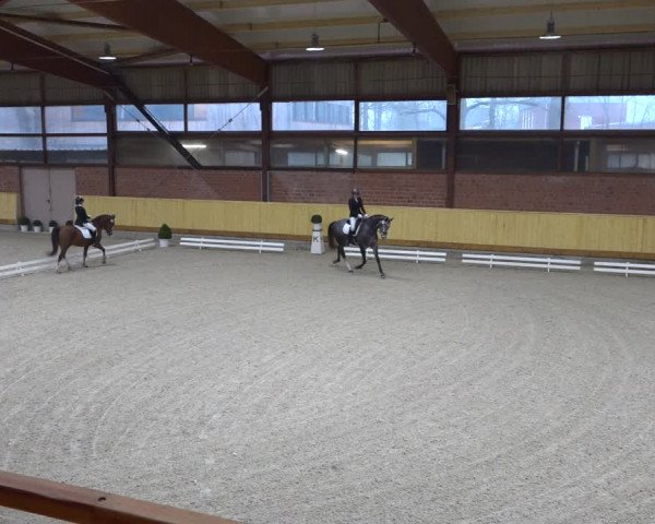 Reitturnier Hamburg-Friedrichshulde/Sylva Kuhrt 2022