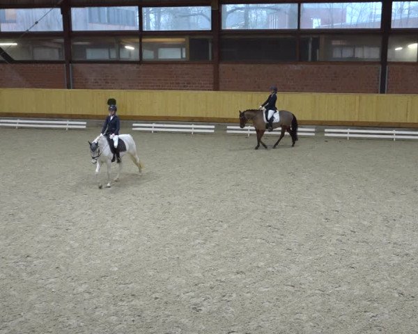 Reitturnier Hamburg-Friedrichshulde/Sylva Kuhrt 2022
