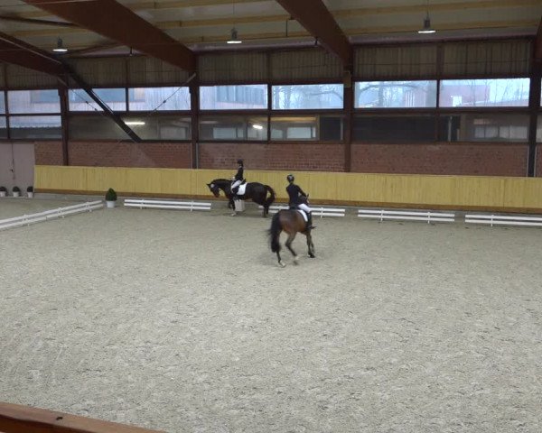 Reitturnier Hamburg-Friedrichshulde/Sylva Kuhrt 2022