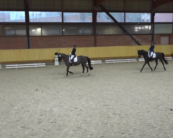 Reitturnier Hamburg-Friedrichshulde/Sylva Kuhrt 2022