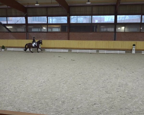 Reitturnier Hamburg-Friedrichshulde/Sylva Kuhrt 2022