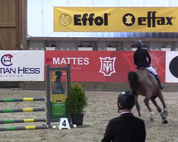 7. Nordic Jumping Event in Negernbötel 2022