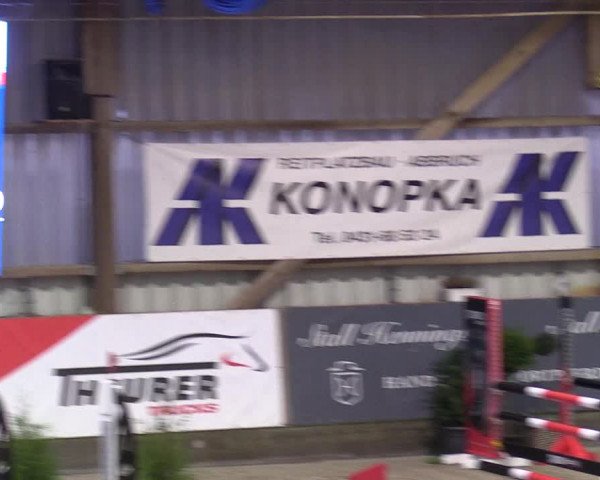 7. Nordic Jumping Event in Negernbötel 2022