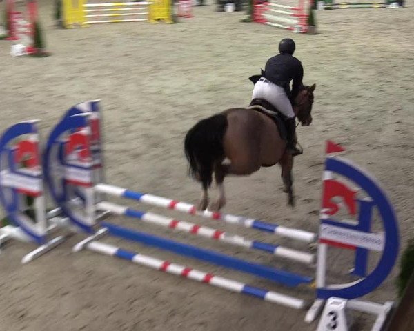 7. Nordic Jumping Event in Negernbötel 2022