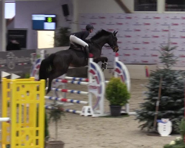 7. Nordic Jumping Event in Negernbötel 2022