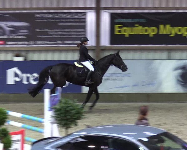 7. Nordic Jumping Event in Negernbötel 2022