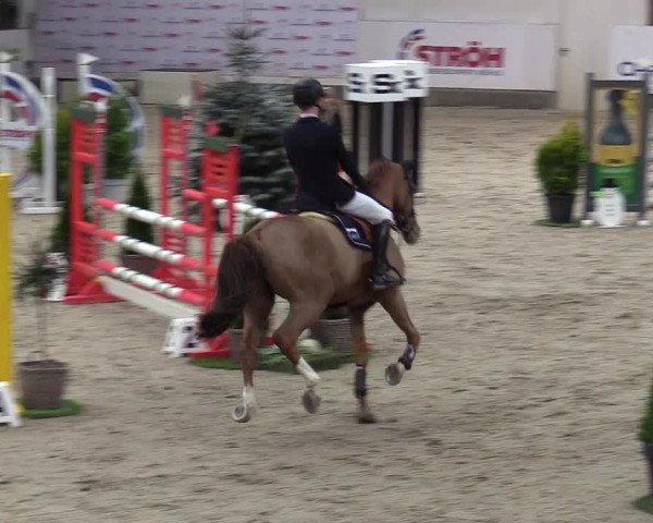 7. Nordic Jumping Event in Negernbötel 2022