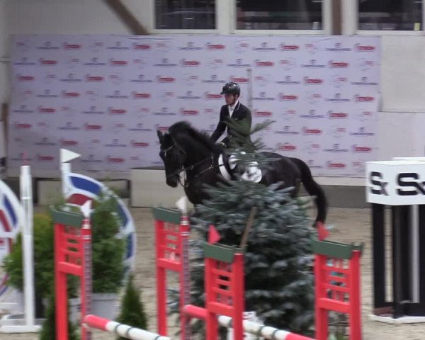 7. Nordic Jumping Event in Negernbötel 2022