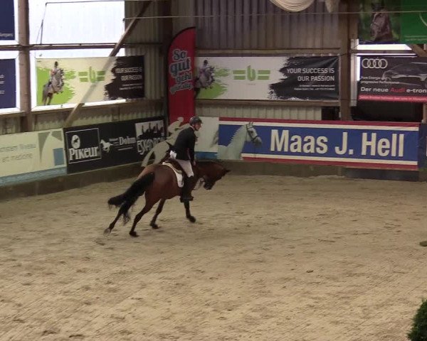 7. Nordic Jumping Event in Negernbötel 2022